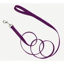 Coastal Single-Ply Nylon Dog Leash Purple 3/4 in x 4 ft