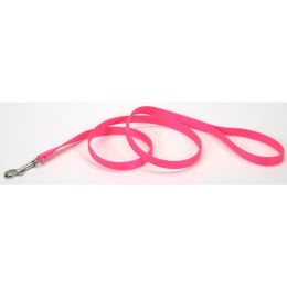 Coastal Single-Ply Nylon Dog Leash Neon Pink 3/4 in x 6 ft