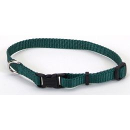 Coastal Adjustable Nylon Dog Collar with Plastic Buckle Black 3/8 in x 8-12 in