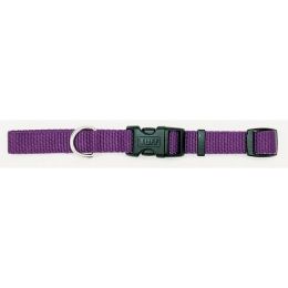 Coastal Adjustable Nylon Dog Collar with Plastic Buckle Purple 3/8 in x 8-12 in